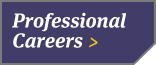 Professional Careers Button